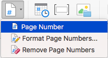 Page Number in menu image